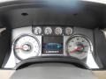 Tan Gauges Photo for 2010 Ford F150 #80992419
