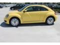 Yellow Rush - Beetle 2.5L Photo No. 5