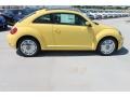 Yellow Rush - Beetle 2.5L Photo No. 10