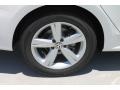 Candy White - Passat 2.5L SE Photo No. 9
