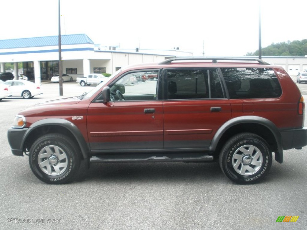 2003 Montero Sport XLS - Cambridge Red Pearl / Gray photo #12