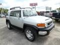 Titanium Metallic - FJ Cruiser 4WD Photo No. 1