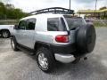 Titanium Metallic - FJ Cruiser 4WD Photo No. 5