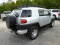 Titanium Metallic - FJ Cruiser 4WD Photo No. 7
