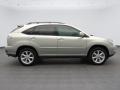 Bamboo Pearl 2009 Lexus RX 350 Exterior