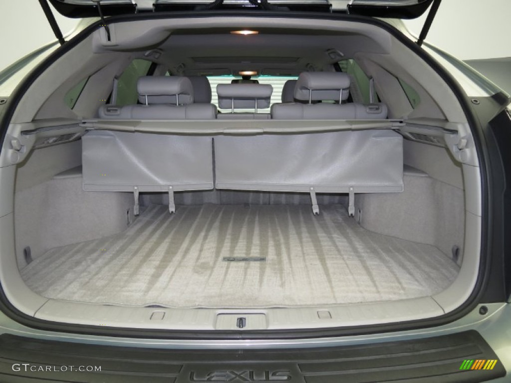 2009 Lexus RX 350 Trunk Photos