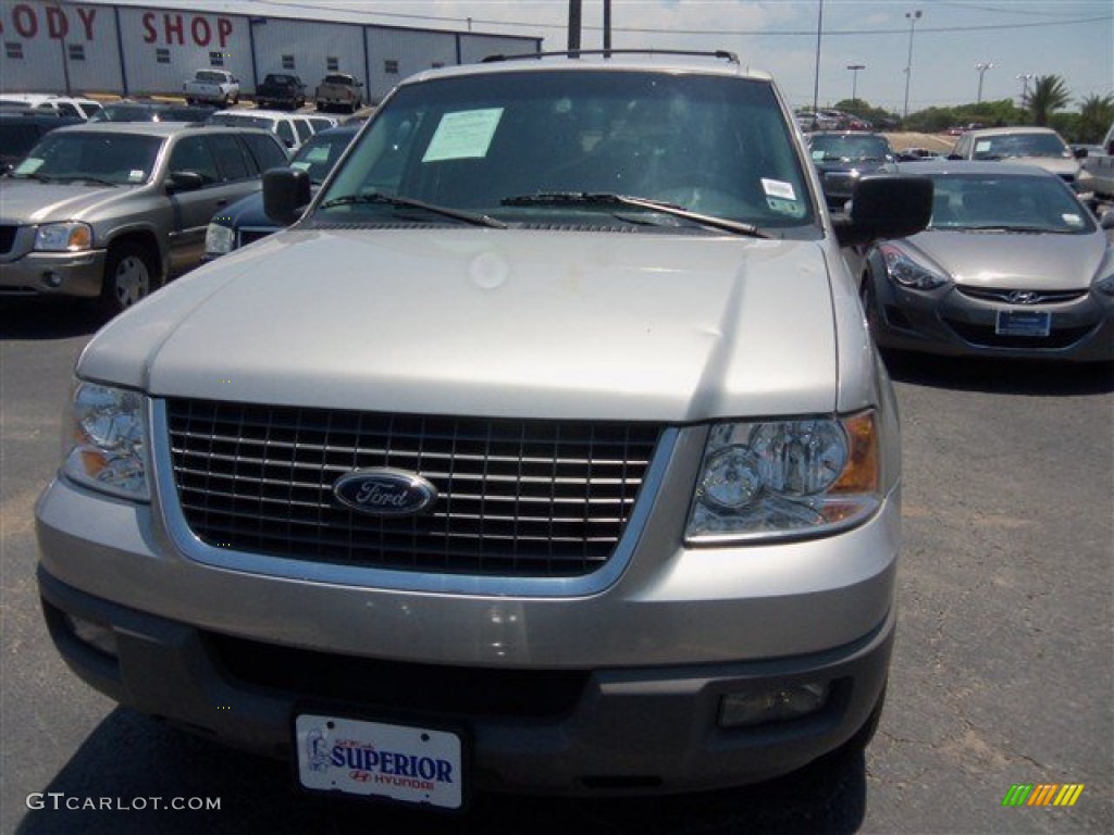 2003 Expedition XLT - Silver Birch Metallic / Flint Grey photo #2