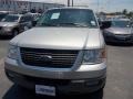 2003 Silver Birch Metallic Ford Expedition XLT  photo #2