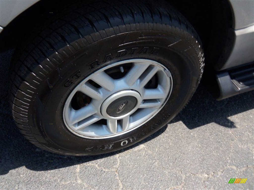 2003 Expedition XLT - Silver Birch Metallic / Flint Grey photo #3