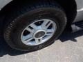 2003 Silver Birch Metallic Ford Expedition XLT  photo #3