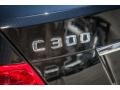 2011 Mercedes-Benz C 300 Luxury Badge and Logo Photo