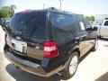 2011 Tuxedo Black Metallic Ford Expedition Limited  photo #6