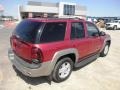 2002 Majestic Red Metallic Chevrolet TrailBlazer LTZ 4x4  photo #32