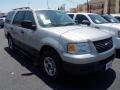 Silver Birch Metallic 2006 Ford Expedition XLS