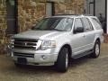 Ingot Silver Metallic 2012 Ford Expedition Gallery