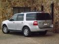 Ingot Silver Metallic - Expedition XLT Photo No. 3
