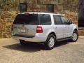 Ingot Silver Metallic - Expedition XLT Photo No. 7