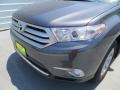 Magnetic Gray Metallic - Highlander SE Photo No. 10