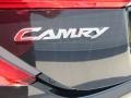2013 Cosmic Gray Metallic Toyota Camry XLE  photo #14