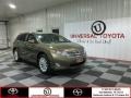 2012 Golden Umber Mica Toyota Venza LE  photo #1
