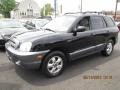 2005 Black Obsidian Hyundai Santa Fe GLS  photo #3