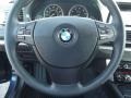 Black Steering Wheel Photo for 2010 BMW 5 Series #81046335