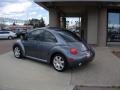 Platinum Grey Metallic - New Beetle GLX 1.8T Coupe Photo No. 8