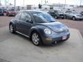 Platinum Grey Metallic - New Beetle GLX 1.8T Coupe Photo No. 12