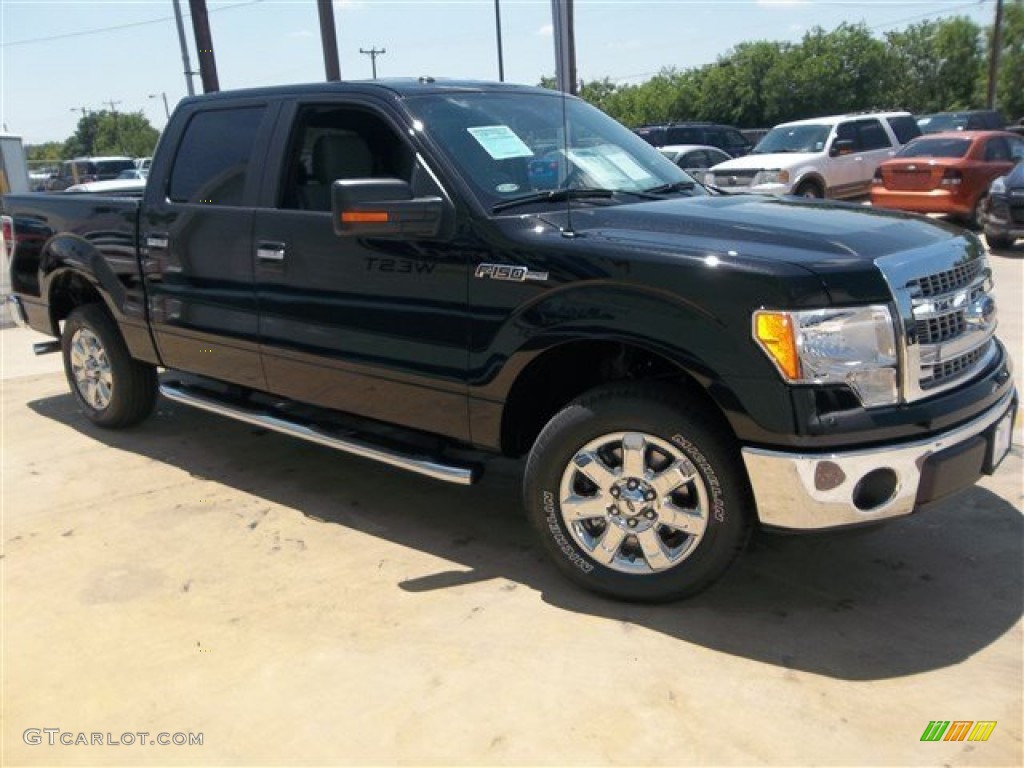 Tuxedo Black Metallic 2013 Ford F150 XLT SuperCrew Exterior Photo #81047817