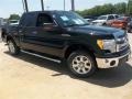 Tuxedo Black Metallic 2013 Ford F150 XLT SuperCrew Exterior