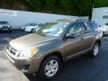 Pyrite Metallic - RAV4 I4 4WD Photo No. 3