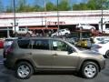 Pyrite Metallic - RAV4 I4 4WD Photo No. 10