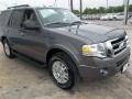 2013 Sterling Gray Ford Expedition XLT  photo #9