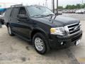 2013 Tuxedo Black Ford Expedition XLT  photo #9