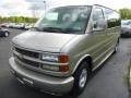 2001 Light Pewter Metallic Chevrolet Express 1500 Passenger Conversion Van  photo #5