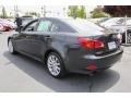 Smoky Granite Mica - IS 250 AWD Photo No. 5