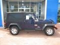 Midnight Blue Pearl - Wrangler Unlimited 4x4 Photo No. 3