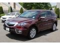Basque Red Pearl - RDX SH-AWD Photo No. 7