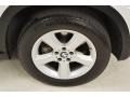 Alpine White - X5 3.0si Photo No. 3