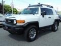 Iceberg White - FJ Cruiser 4WD Photo No. 3