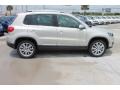 2013 White Gold Metallic Volkswagen Tiguan SE  photo #10