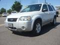 Oxford White 2006 Ford Escape Hybrid