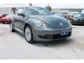 Platinum Gray Metallic - Beetle 2.5L Photo No. 1