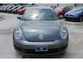 Platinum Gray Metallic - Beetle 2.5L Photo No. 2