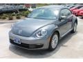 Platinum Gray Metallic - Beetle 2.5L Photo No. 3