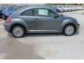 Platinum Gray Metallic - Beetle 2.5L Photo No. 10