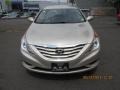 Camel Pearl - Sonata GLS Photo No. 1
