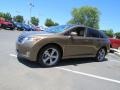 2010 Golden Umber Mica Toyota Venza V6  photo #3