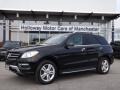 Black - ML 350 4Matic Photo No. 1