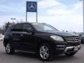 Black - ML 350 4Matic Photo No. 3